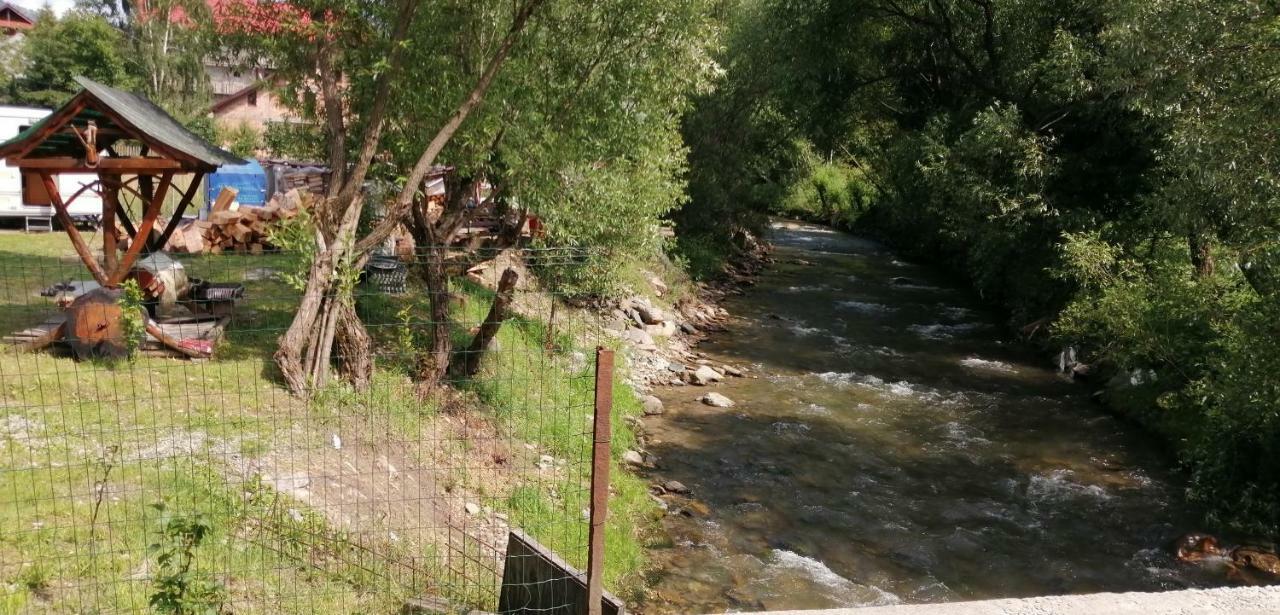 Traditia Borsanului Bagian luar foto