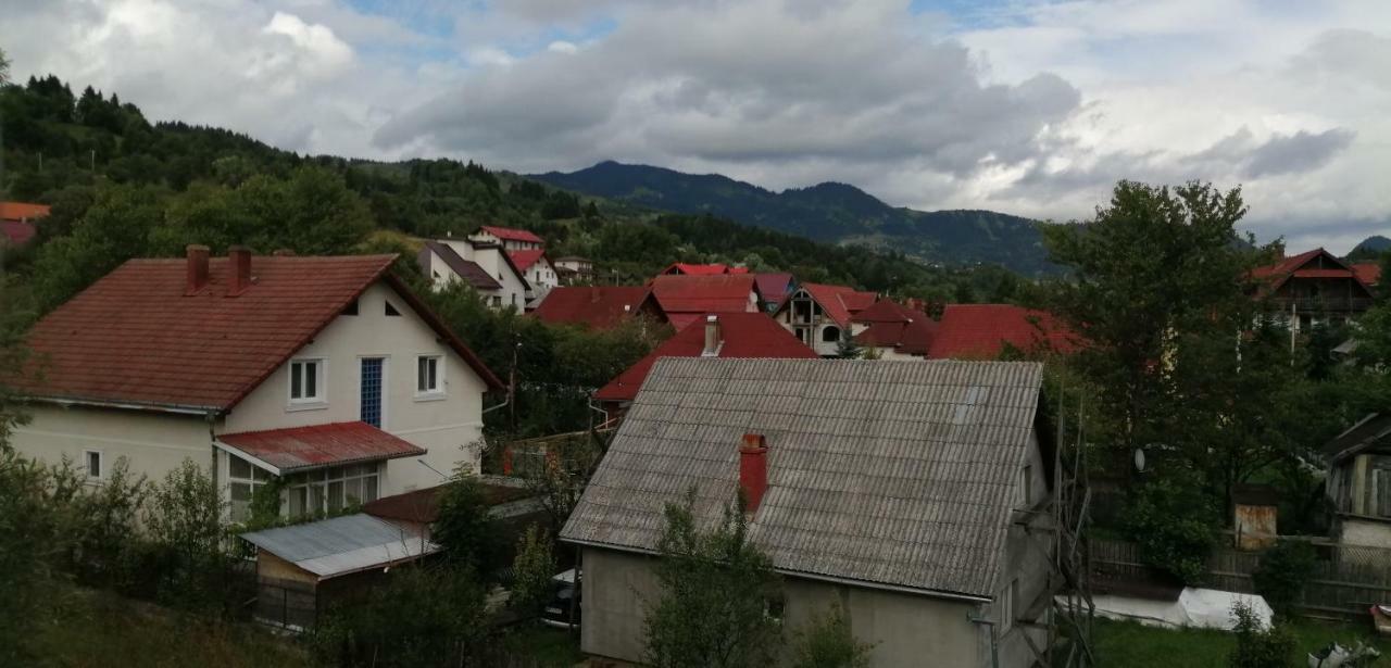 Traditia Borsanului Bagian luar foto