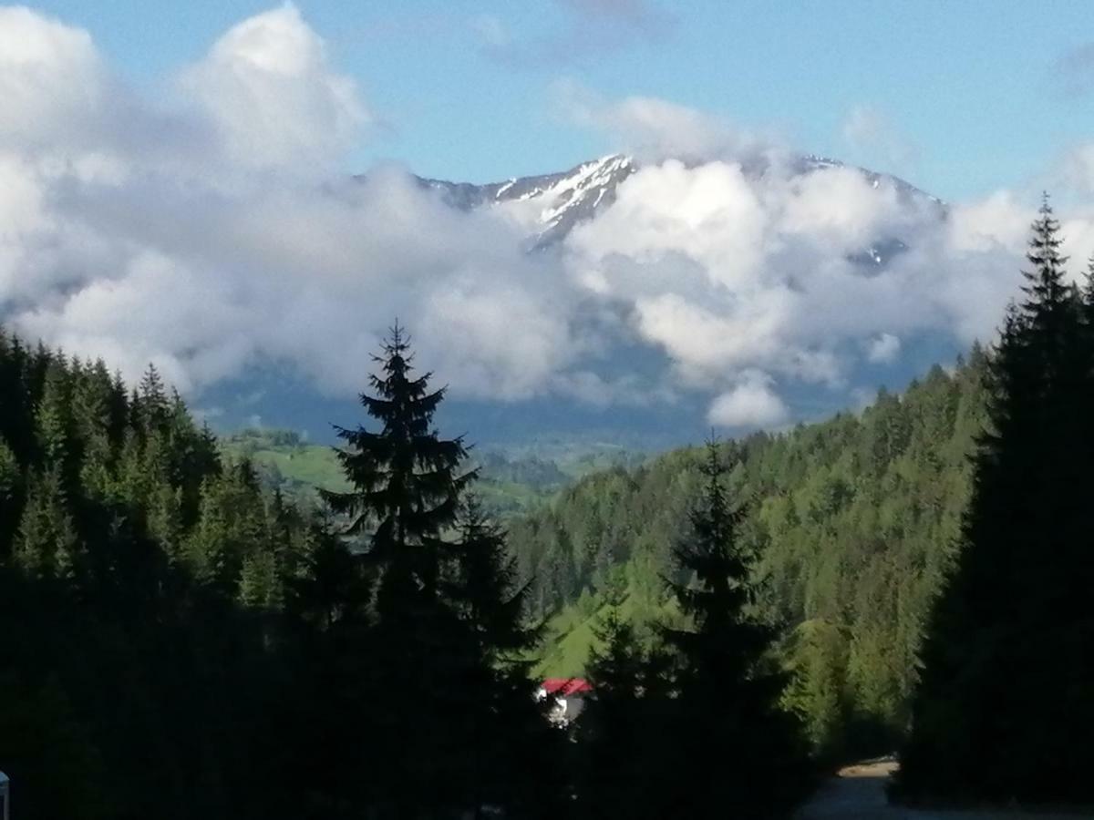 Traditia Borsanului Bagian luar foto